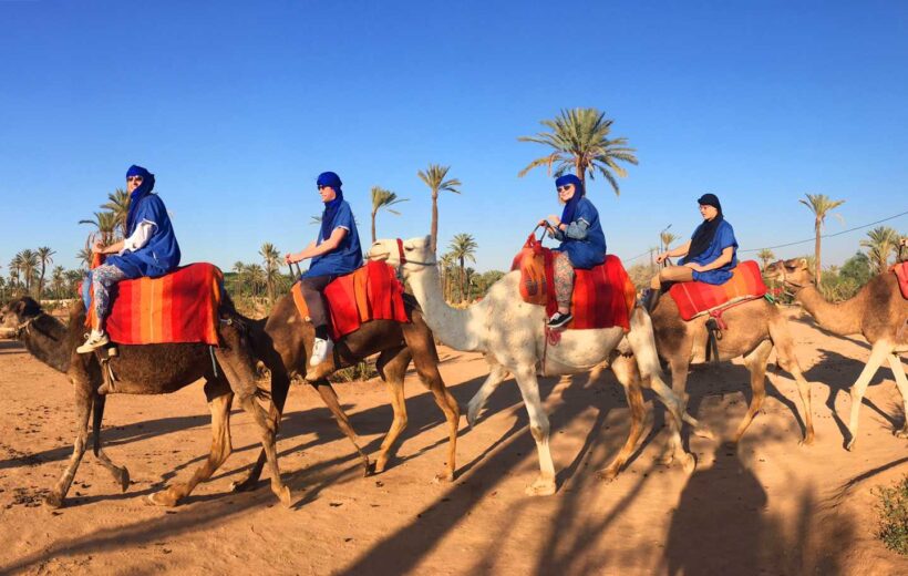 Balade à Dos de Chameau dans la Palmeraie de Marrakech