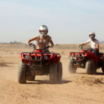 Gallery Thumbnail 4
