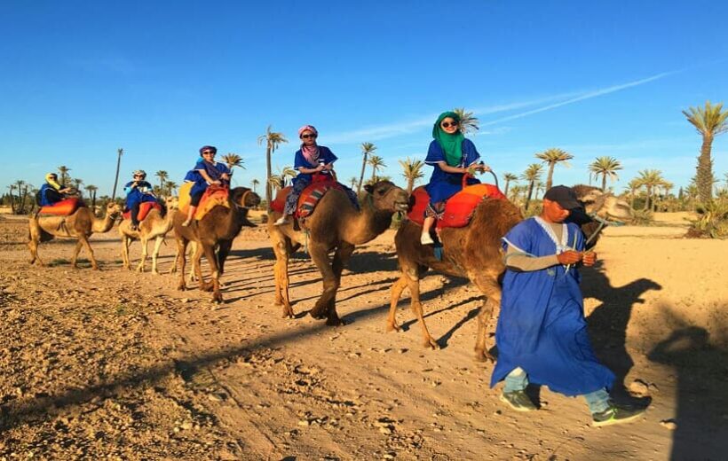 Balade Combinée : Chameau & Quad dans la Palmeraie de Marrakech
