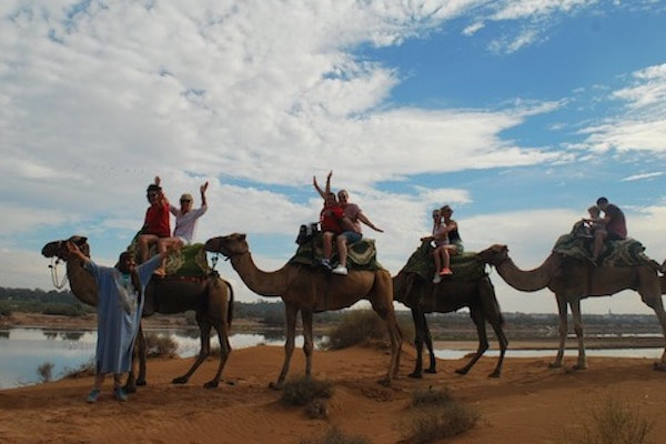 Promenade à dos de chameau Agadir – Nature et Flamants Roses