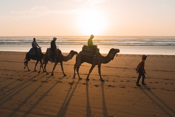 Balade à dos de chameau au coucher du soleil à Agadir avec dîner barbecue