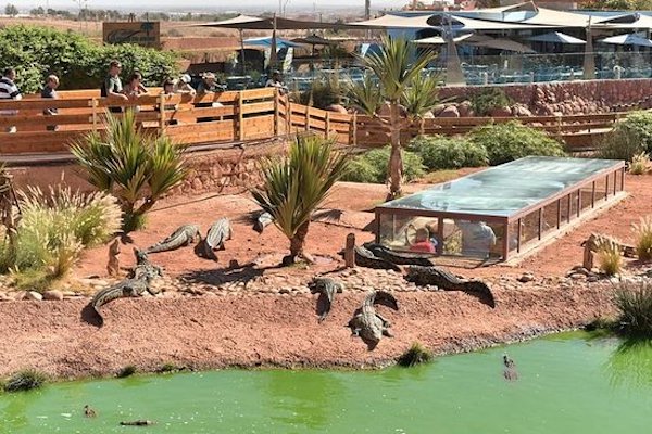 Agadir Crocoparc : Billet d’Entrée avec Transfert Inclus