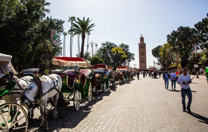 Balade en Calèche au Crépuscule à Marrakech