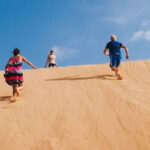 Gallery Thumbnail 3